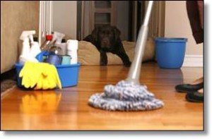 limpieza de domicilios particulares